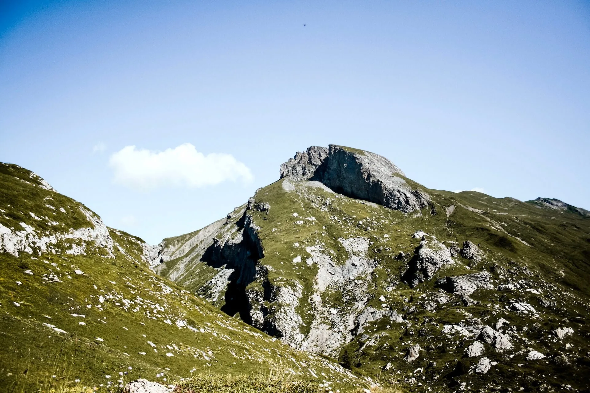 Accès à Plan Mya
